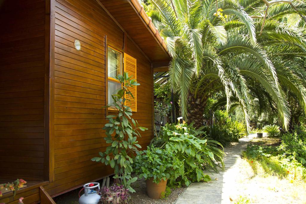Dostlar Pension เทคิโรวา ภายนอก รูปภาพ